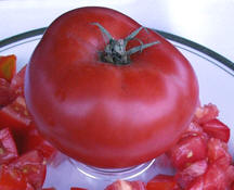 brandywine red 80 day