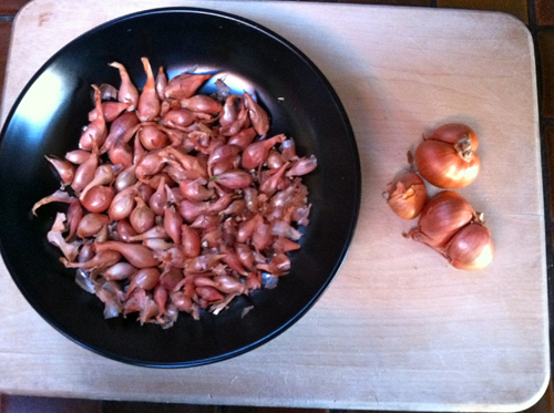 French red shallots-dutch shallots