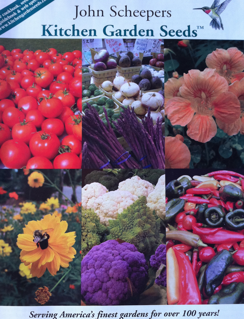 GARDEN PLANNING « giantveggiegardener