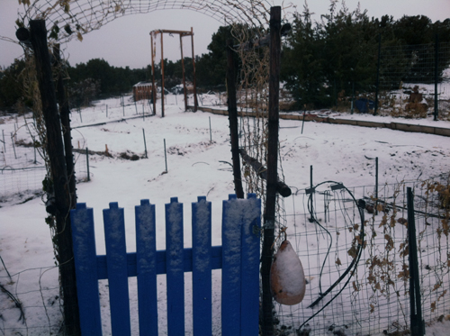 Garden finally asleep!