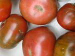 tomato closeup2