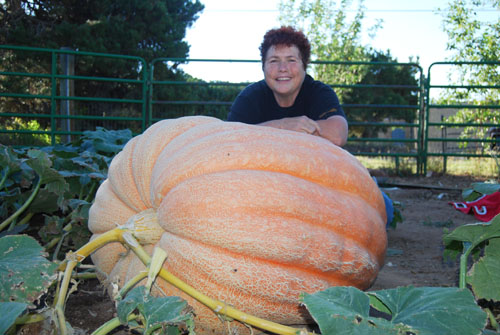 2me and kong b4 cutting