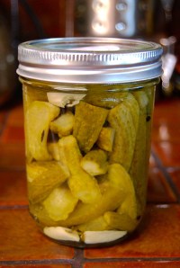 pickle_cornichon