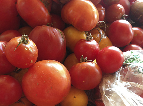 1tomato sauce-tomatoes ready