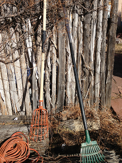 found_rake and apple picker