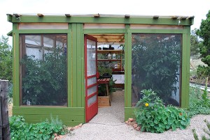 greenhouse in august