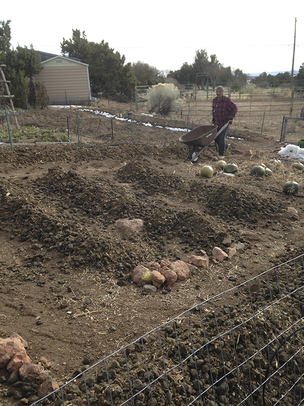 Nick unloading manure