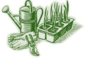 illustration MG of middlesex county