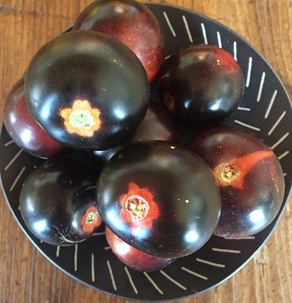 tomato_indigo cherry drops