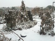winter storm_ Nov 2015a
