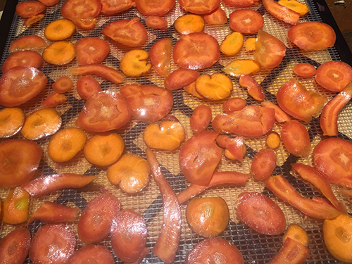 carrots drying