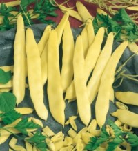 20140403122458-Meraviglia-di-venezia-a-grano-bianco