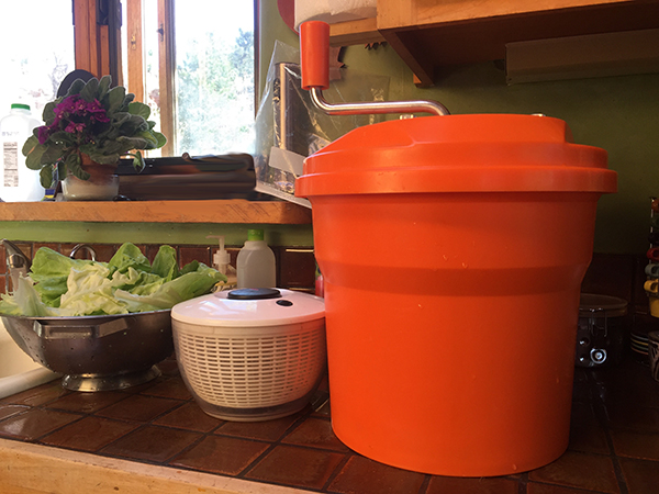 This spinner can handle lots of lettuce compared to my regular spinner!