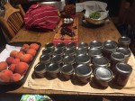IMG_1140