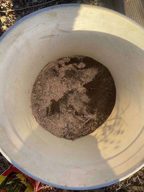 azomite and kelp meal for garlic