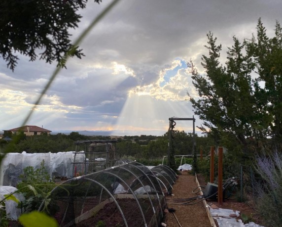 summer storm over gaaren