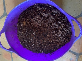 1 dampen seed soil mix