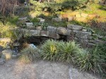 rock garden